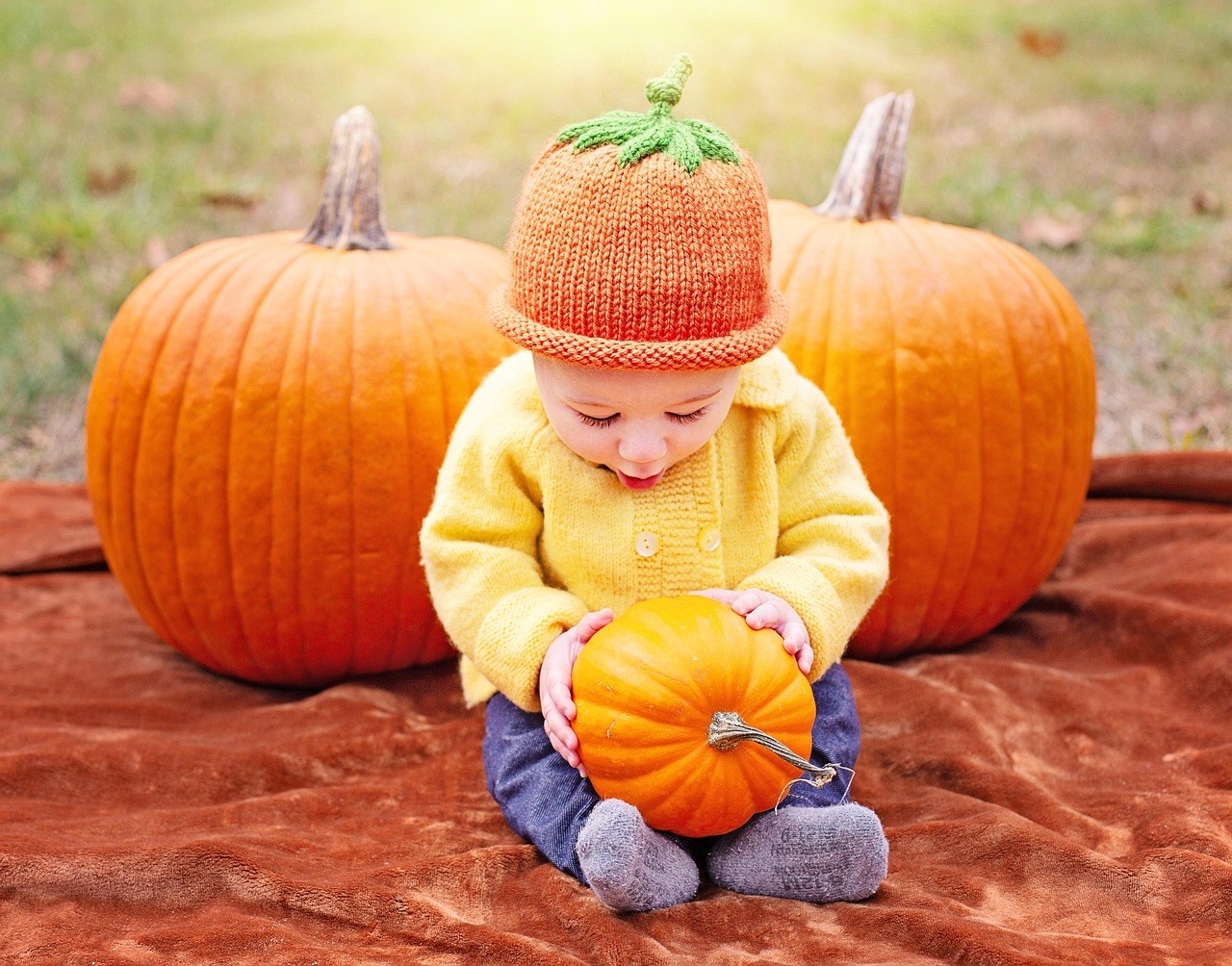Allen's Haunted Hayride & Tavern of Terror