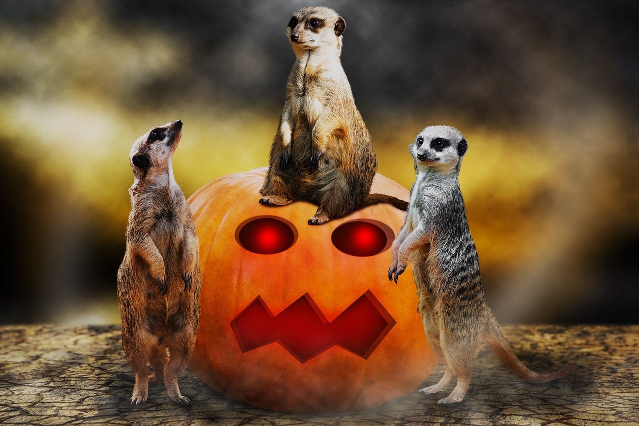 Montpelier Ghost Tours and Haunted Pub Crawls