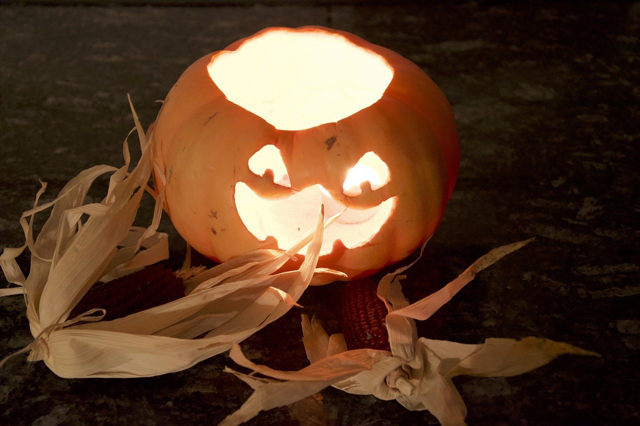 halloween Fun