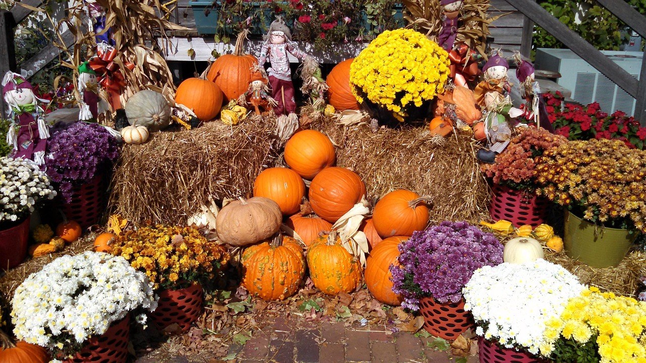1 Williams St Halloween Display