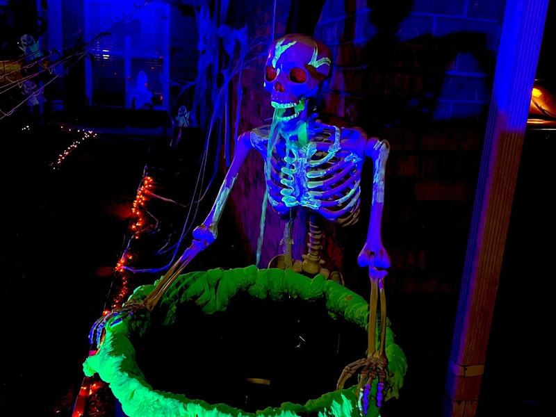 toxic boneyard