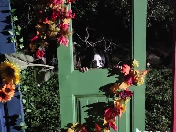 Nightmare at Owl Creek