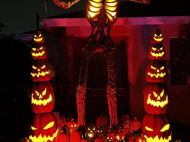 Dia De Lo Muertos