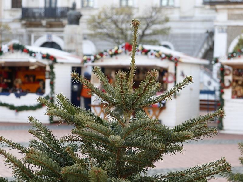 Christmas On Monacy