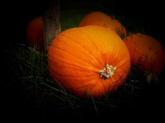 Ghosts of Boston Tour — Nightly in October