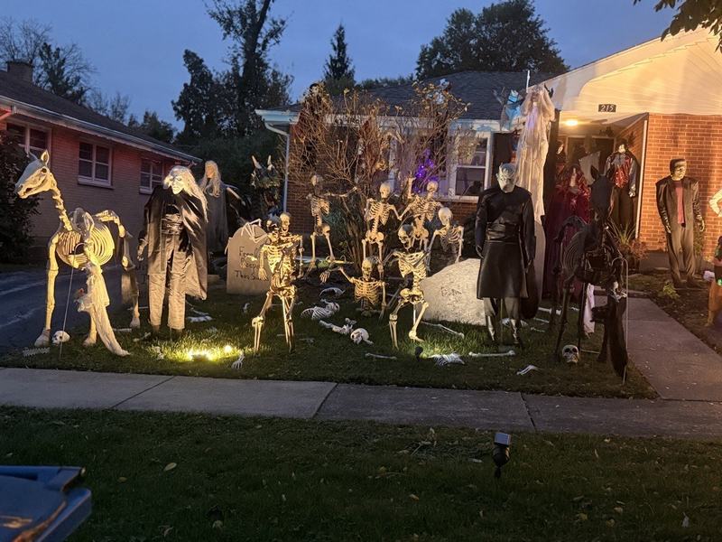 Night Realm Theater