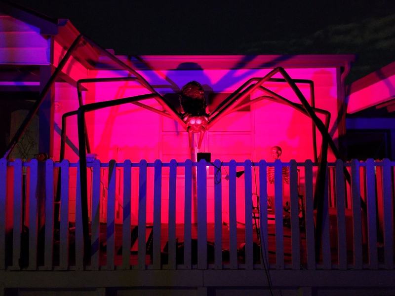 Spider's Porch