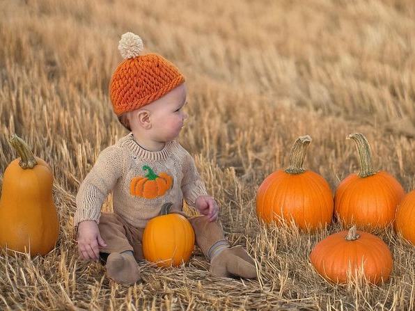 Trombly Gardens — Fall Season