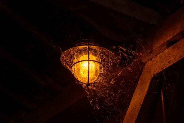 Reichland Asylum Haunted Attraction