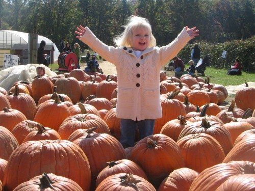 Terhune Orchards Fall Festival — September 12 – November 1, 2026