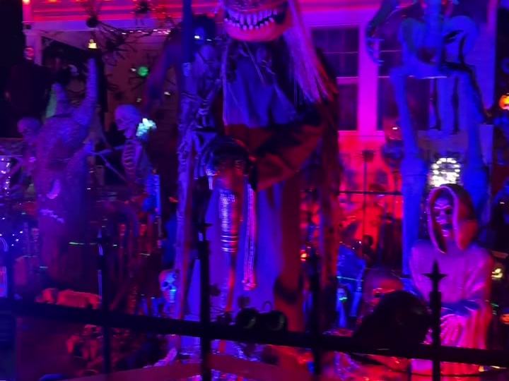 Monster Yard — 29 Nill St, West Babylon