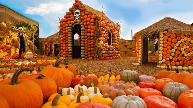 #hauntonholmes — 508 Holmes Rd