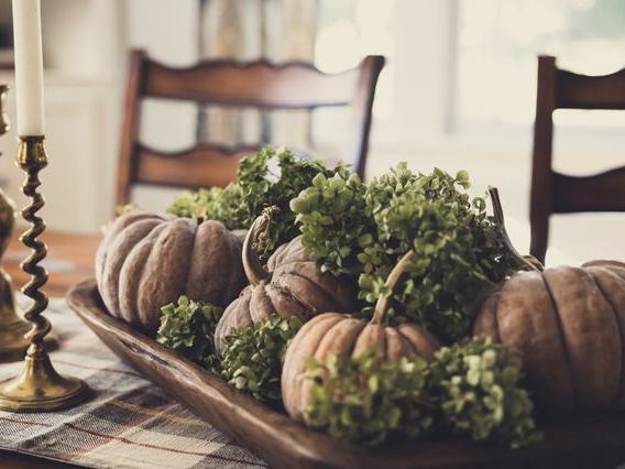 Stokes Farm — Fall Hayrides & Pumpkin Picking ($10/person, tickets online)