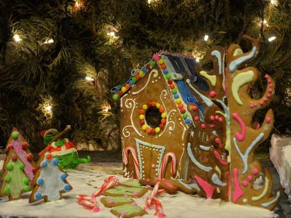 Paul family lights