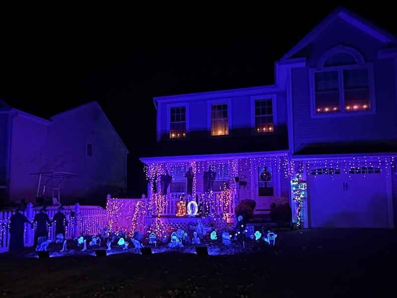 My Halloween Decorations