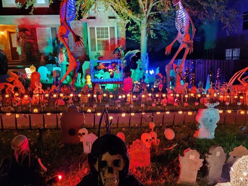 Bone manor