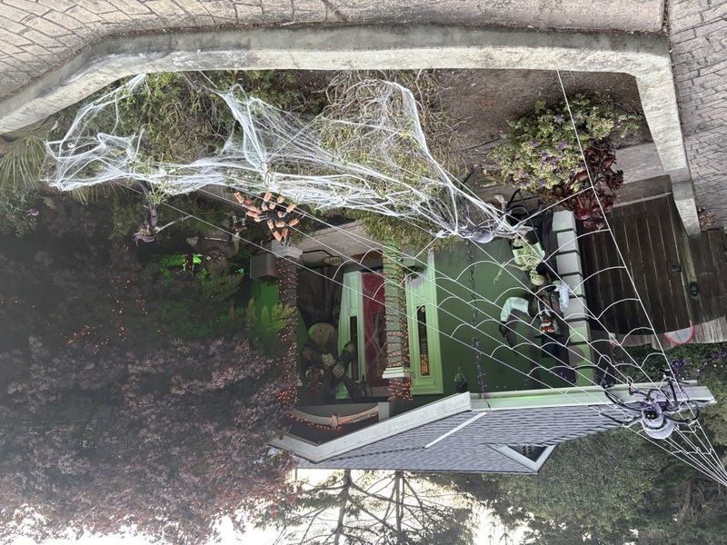 Pacifica’s Haunted Woods