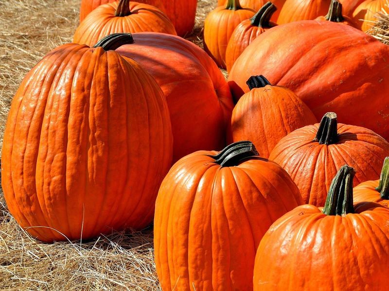 Halloween at Noelle — DJs at Lona + Hidden Bar · Sat Oct 31