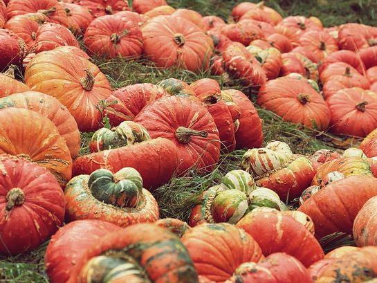 Salem Trolley: Tales & Tombstones — Thu-Sun Evenings in Oct