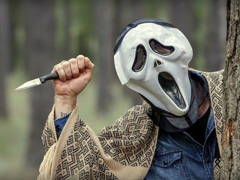 Farm of Horrors at Schaefers Farms