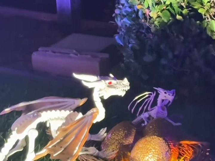 Dragon Skeletons House