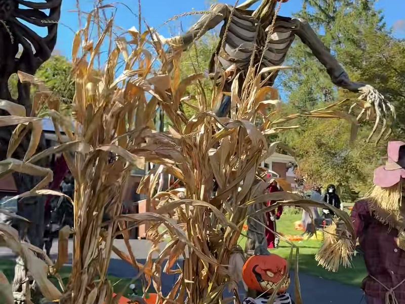 Halloween House — Clarkson & Main St