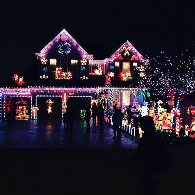 Lelii Holiday Lights