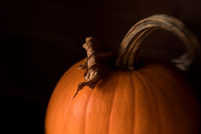 Pinehurst Giants Halloween Display