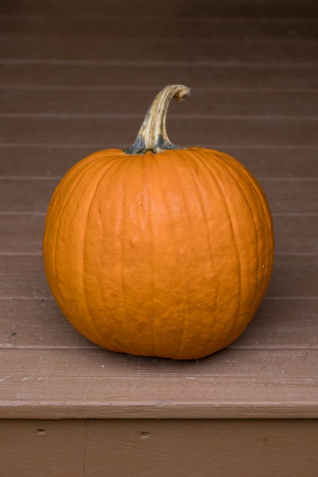 25 Eleanor Drive Halloween Display