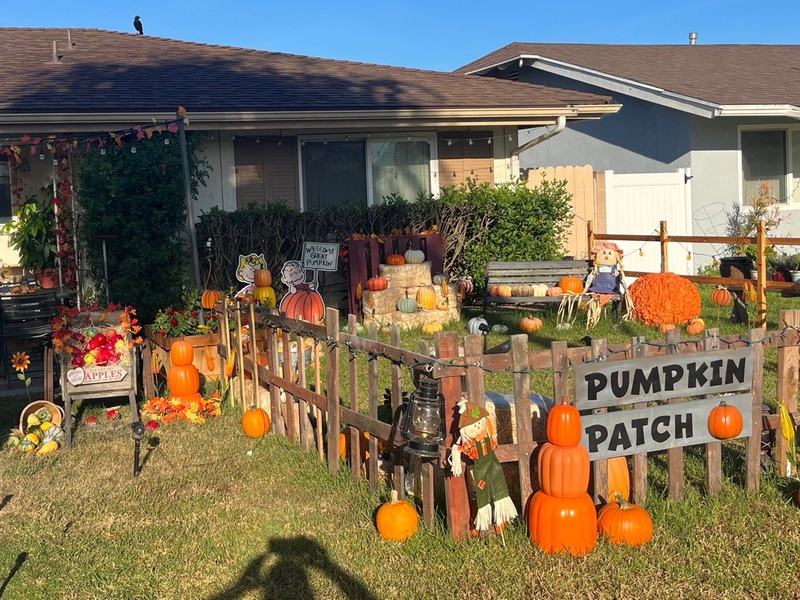 Cabrillo neighborhood pumpkin patch