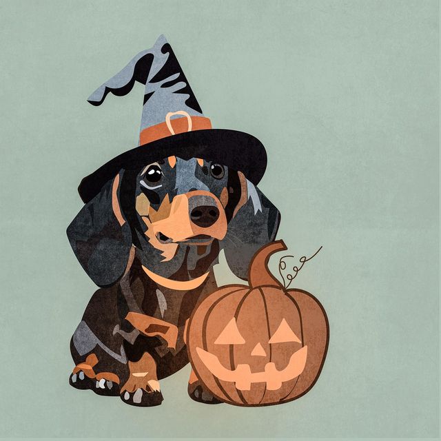 Trunk or Treat - Village of the Falls (Oct 22 6pm)