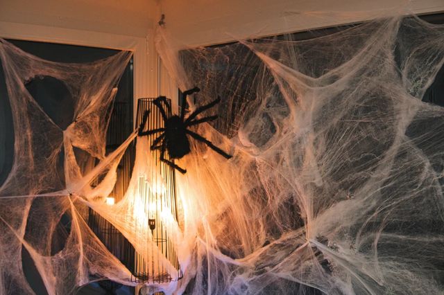 The Yard of Living Nightmares — 112 Warwick Ave, Runs all day