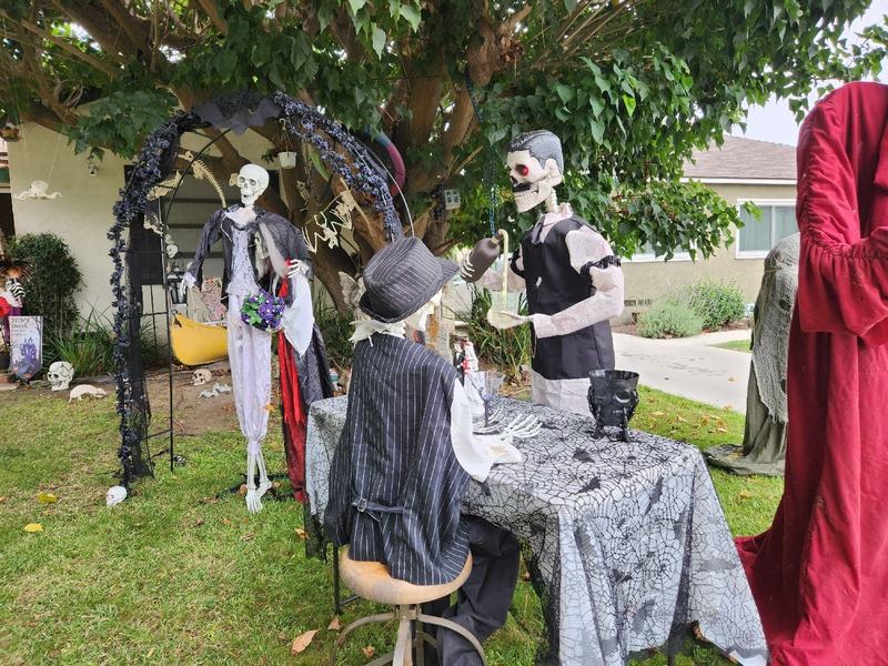 The Bone yard