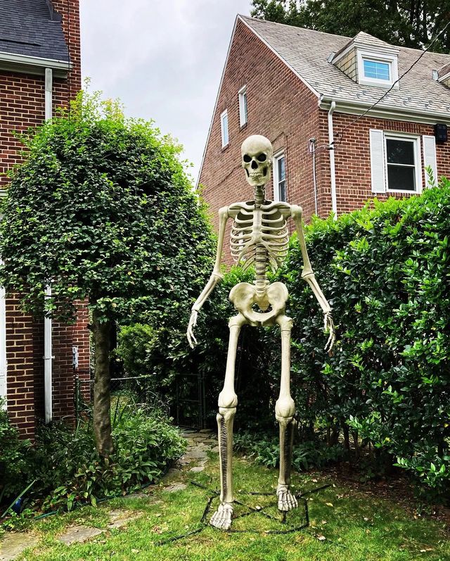 Hawthorne Haunt — 39 Frederick Ave, Hawthorne (kid-friendly)