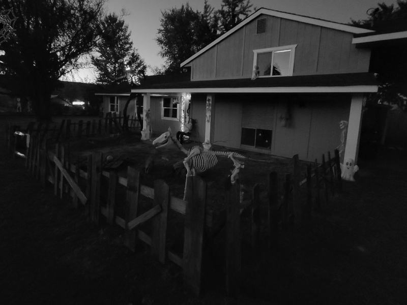 Dr. Feelgoods Haunted Home