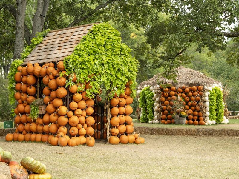 Cheekwood Harvest · Sep 19–Nov 1
