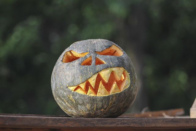 Spooky Fest at The Center for Science, Teaching & Learning
