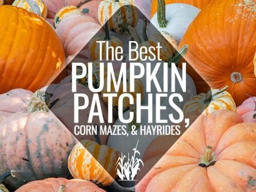 41st Annual PumpkinFest — Franklin · Oct 24–25
