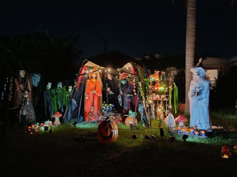 Witches On Groveland Street
