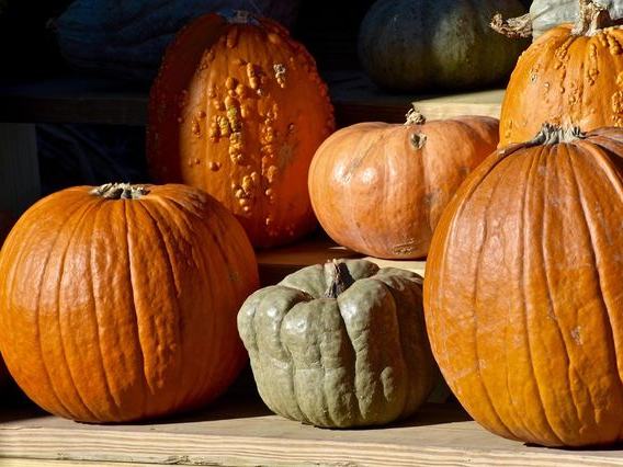 VerHulst Haunted Hayride