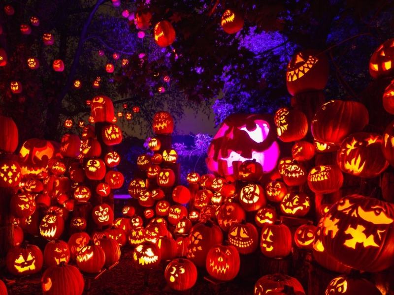 Jack-O-Lantern Spectacular — Roger Williams Park Zoo · Oct 1–Nov 1 · 6–10:30pm · $20–$23