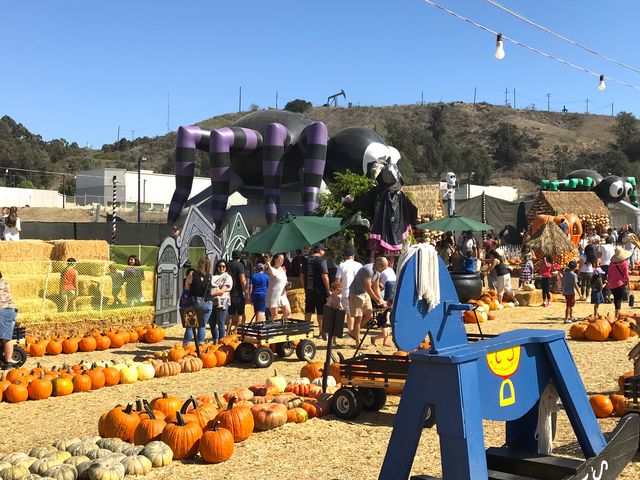 M &M House Of Fun And Terror Drive-Through Haunt — 388 Elmwood St