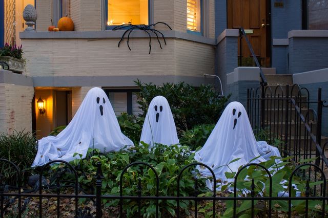 Farina Family Frightmare — 7 Moro Drive, Hamilton