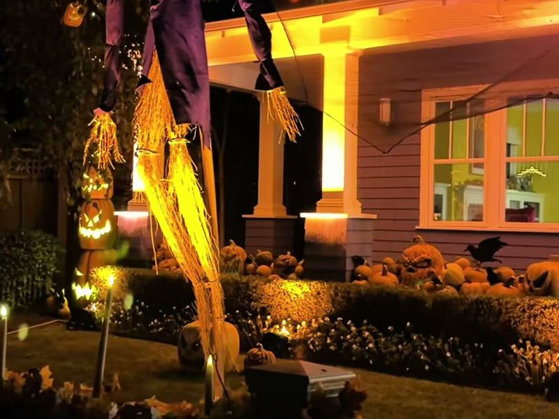 Giant Pumpkin Display