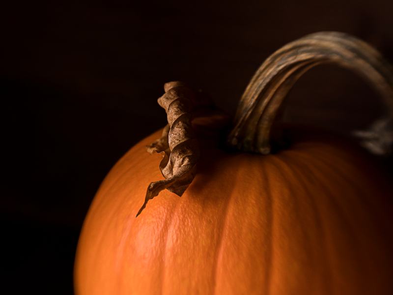 A Haunting on Laclede Court
