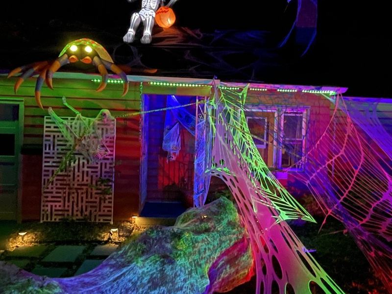 The Neon Web Cottage