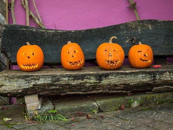 Brown's Harvest — Fall Season