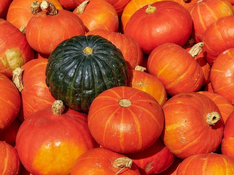 333 12th St — West Babylon
