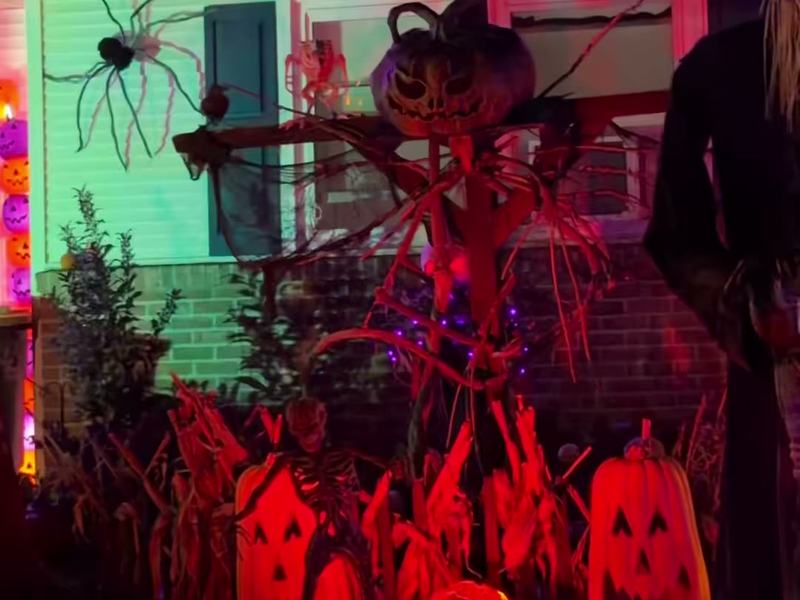 Creepin' for Critters House — 178 Mountain Boulevard
