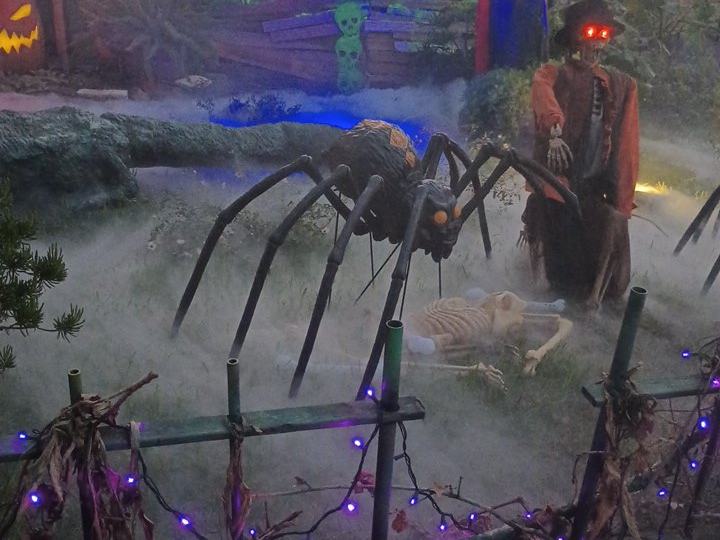 Witch And Voodoo Swamp